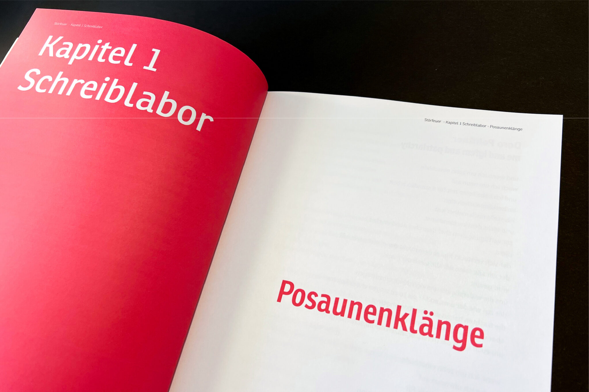 Kapitelauftakt Schreiblabor im Buch Störfeuer der ≠igfem. Foto: © Stefanie Dippelreiter.
