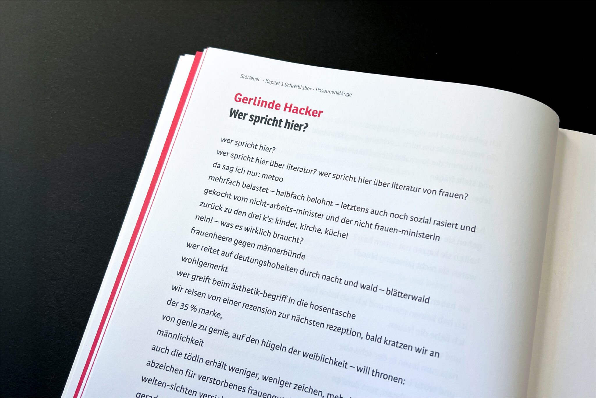 Gedruckter Autorinnentext im Buch Störfeuer der ≠igfem. Foto: © Stefanie Dippelreiter.