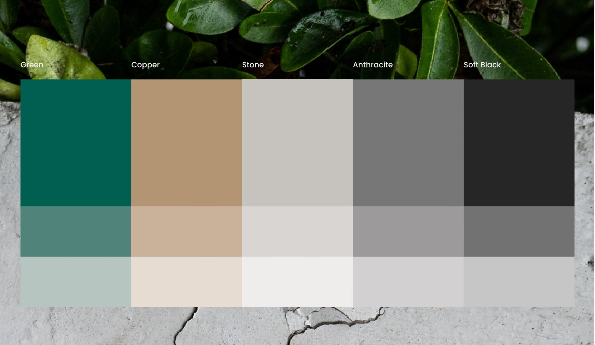 Farbpalette von Pioneering Minds Consulting